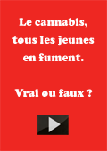 Le cannabis, tous les jeunes en fument video-cannabis-tous-les-jeunes-en-fument.png