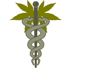 Cannabis thérapeutique